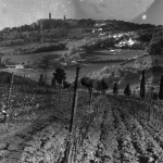 Italy – three winemakers, three commitments