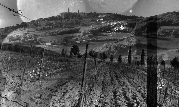 Italy – three winemakers, three commitments
