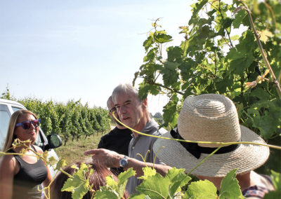 image-vines-vintner-group
